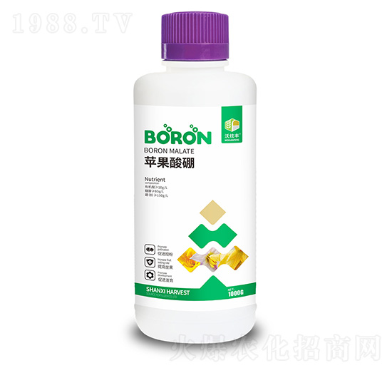 �O������-�����S-�ɿ����ʘI(y��)