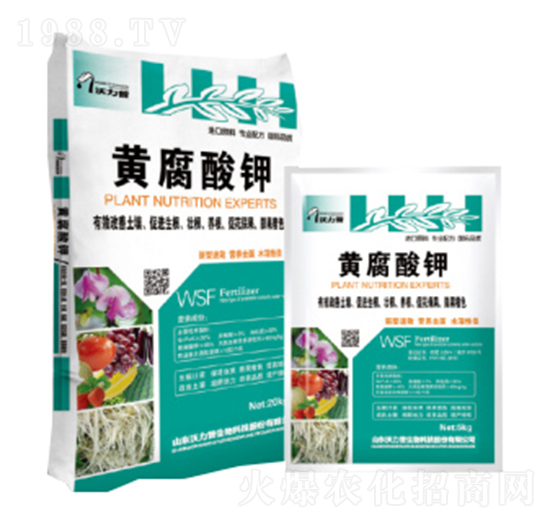 �S�����-嫰�����