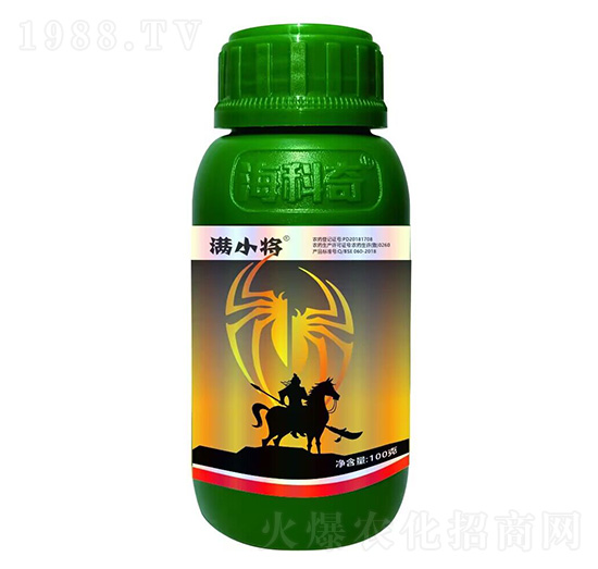 20%������-�MС��-������