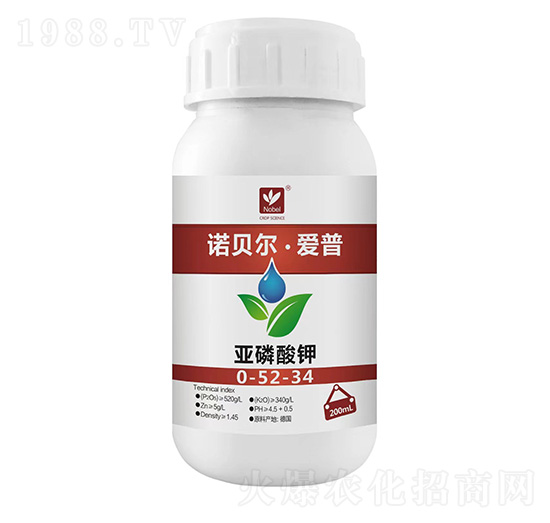 �������0-52-34-�Zؐ��������-�Zؐ��