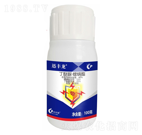 40%�����塤������-Ѹ�S��-����¡����