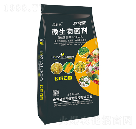 ΢�������-�Ν�(r��n)�l(f��)-�Ą�(chu��ng)��ţ