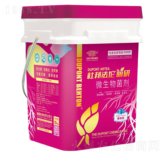 ����������΢�������-�Ű��-�Ű�