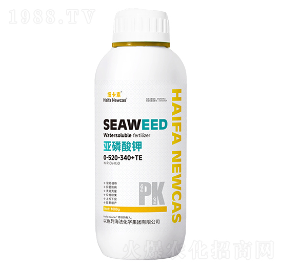 �������0-520-340+TE-�~����-���r�W��