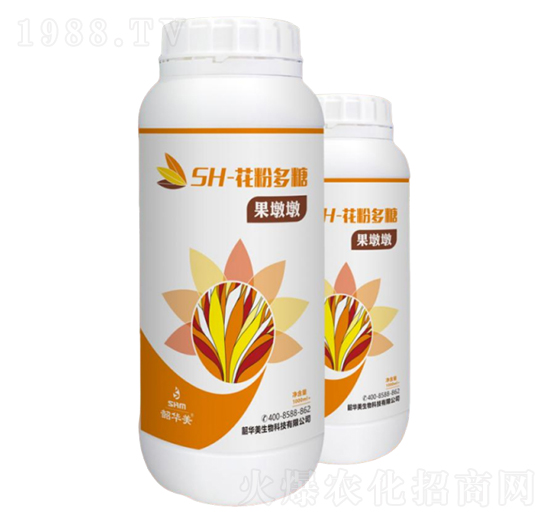 SH-���۶���-���ն�-���A��