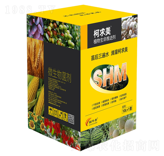 ֲ���������M(j��n)��-������-���A��