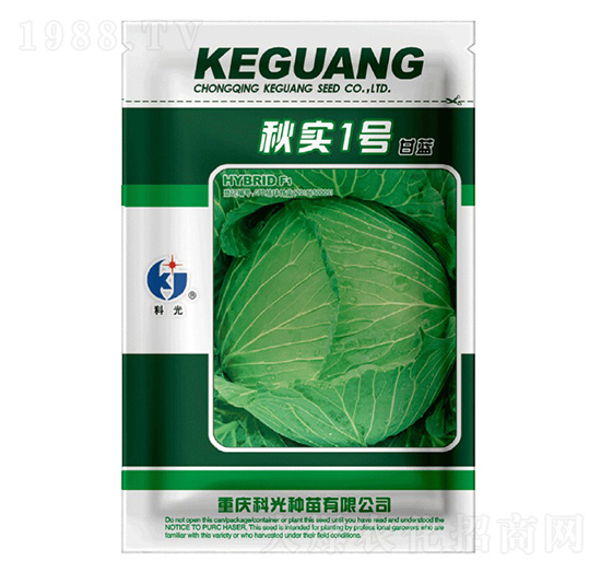 �1̖-�ƹ�N��