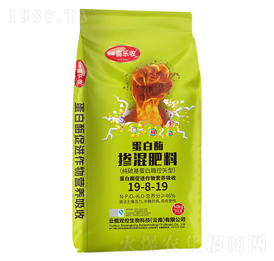 ����ø�������19-8-19-�t̫�(y��ng)