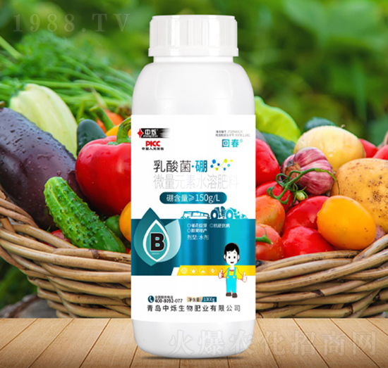 ���������-�ش�-�Рq����