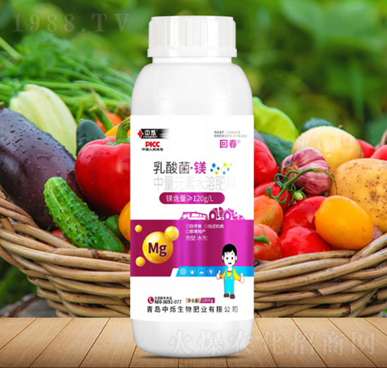 ��������V-�ش�-�Рq����