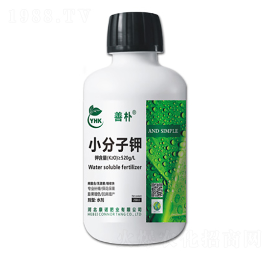 С�����-�Ƙ�-���Z�ʘI(y��)