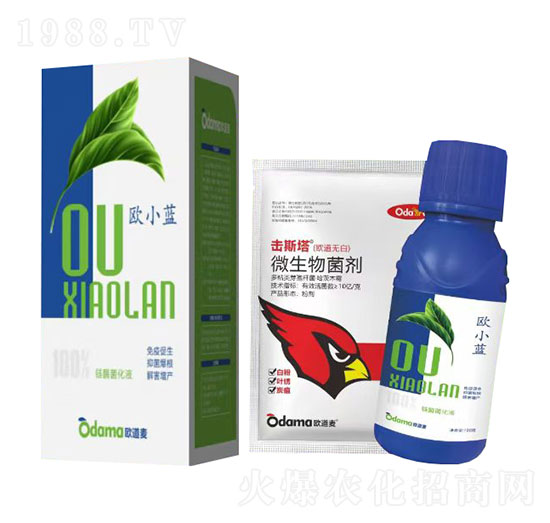 �WС�{(l��n)-�W����