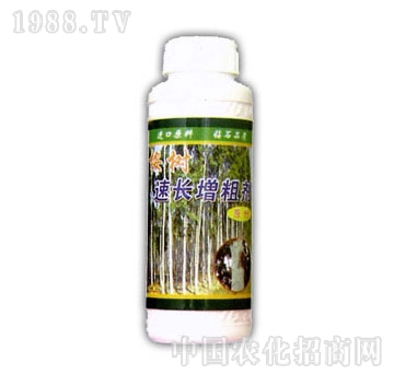 ��ɽ����-���(sh��)���L(zh��ng)����