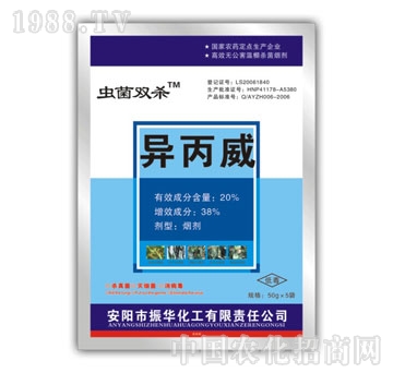 ���A����-�x���p��