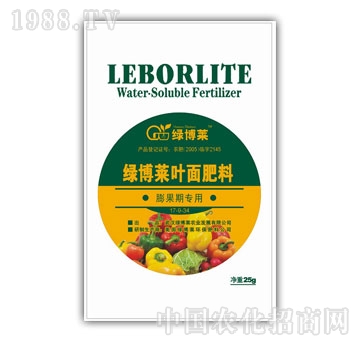 �G���R-����ڌ���