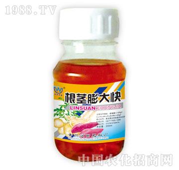 ����-���o���K