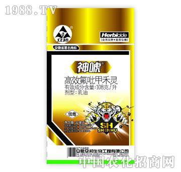 ����-��-��Ч�����׺��`