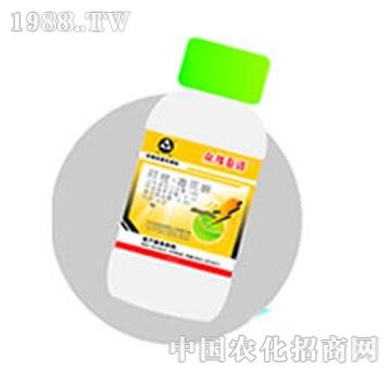 ����-�������