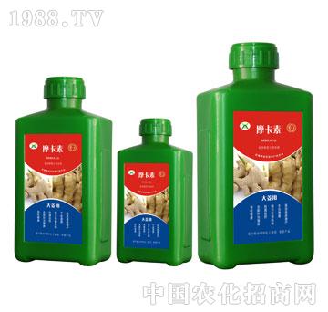 �󽪌��ð���������Һ�ķ�-Ħ����-��(qi��ng)о���H