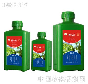 ��ɣ���ð���������Һ�ķ�-Ħ����-��(qi��ng)о��(gu��)�H