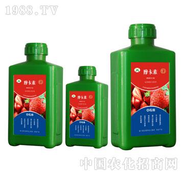 ��ݮ���ð���������Һ�ķ�-Ħ����-��(qi��ng)о���H