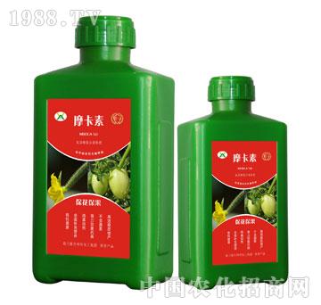 ������������������Һ��