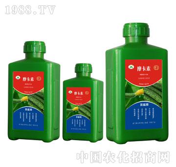 �S�ό��ð���������Һ�ķ�-Ħ����-��(qi��ng)о���H