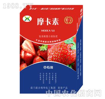 ��ݮ���ð���������Һ�ķ�-Ħ����-��(qi��ng)о��(gu��)�H