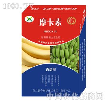 �㽶��(zhu��n)�ð���������Һ�ķ�-Ħ����-��(qi��ng)о��(gu��)�H