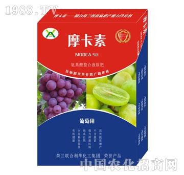 ���ь�(zhu��n)�ð���������Һ�ķ�-Ħ����-��(qi��ng)о��(gu��)�H