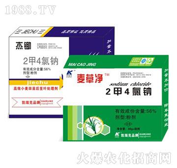 56%2��4���c-���z+���݃�-�P���