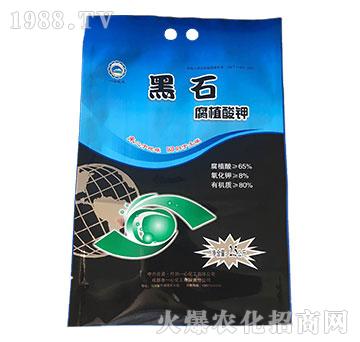 ��ֲ���-��ʯ-һ�Ļ���