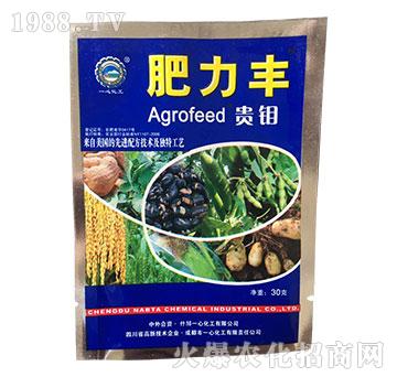 �F�f-�����S-һ�Ļ���