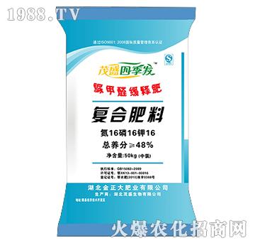 ���ȩ��ጏͺϷ���16-16-16-ïʢ