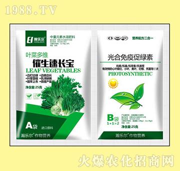 �������L��+������ߴ�