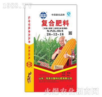 ���\���׌��ÏͺϷ�26-12-18-������