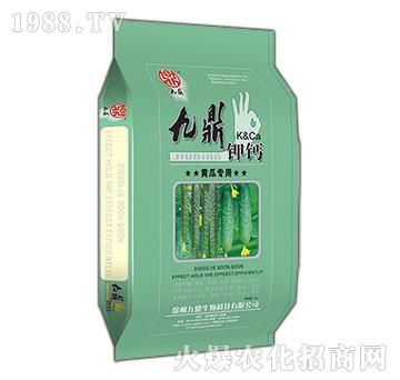 �S�ό��þŶ���}-�ذ�Ȫ