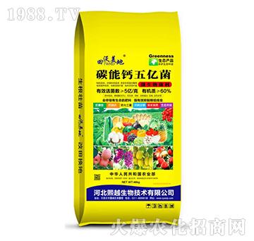 ̼���}��|��-��Խ����