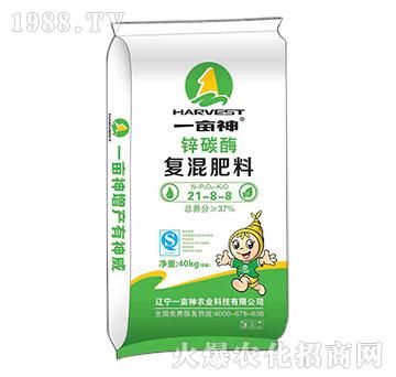 �\̼ø��(f��)���21-8-8-һ����