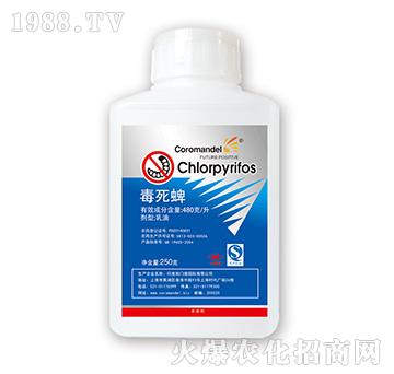 480��ÿ��������-��