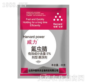 5%���x(ch��ng)��-����-����