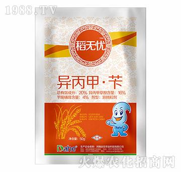 20%�����ס��S-���o(w��)