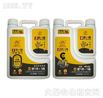 ��ݮ����-��1�w+1ø