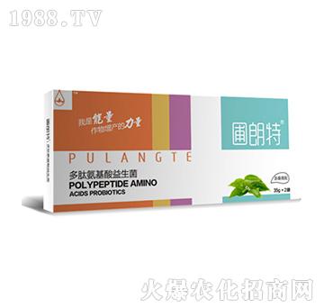 ��ɣ����-���İ�����������-������