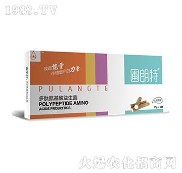 ɽˎ����-���İ�����������-������