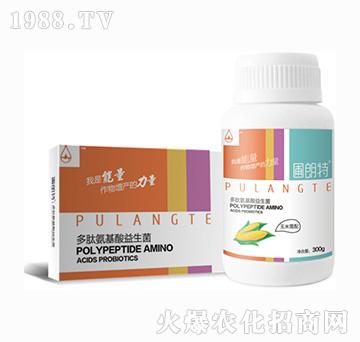 ��������-���İ�����������-������