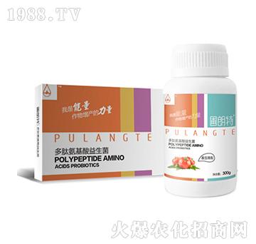 ��������-���İ�����������-������