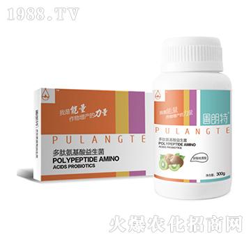 �J��������-���İ�����������-������