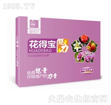 ���Ì����У�-������