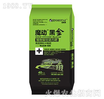 ħ��(d��ng)�ڽ�-��֮�{(l��n)